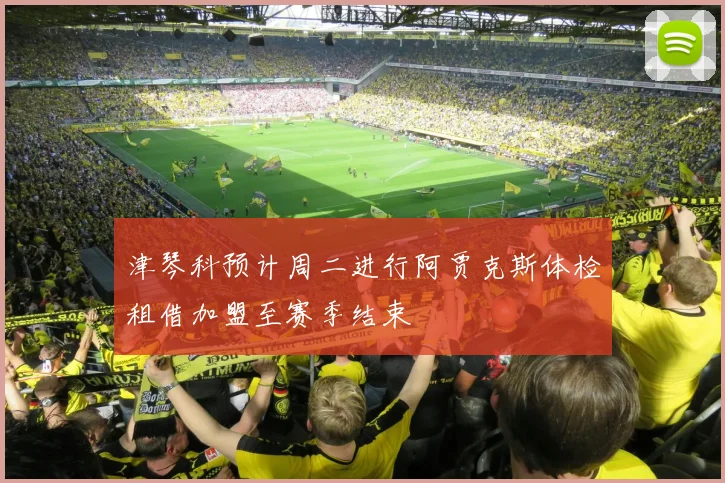 津琴科预计周二进行阿贾克斯体检租借加盟至赛季结束